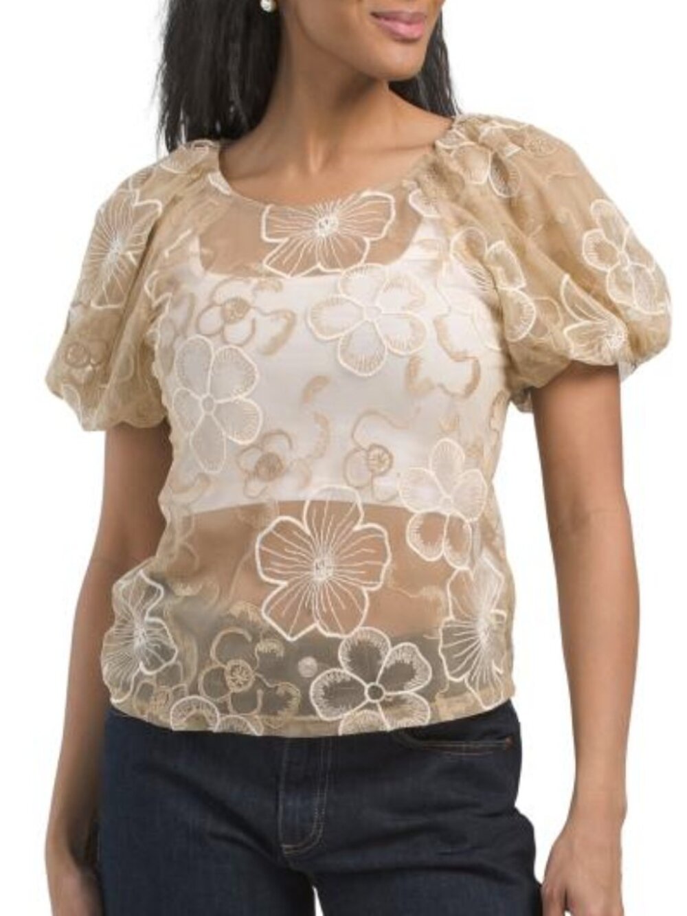 Sheer Floral Embroidered Puff Sleeve Top - Cream